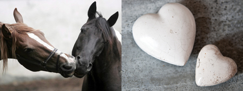 alla hjärtans dag love häst horse heart