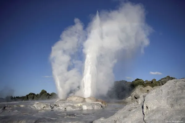 Plenty of geysers in Rotorua
