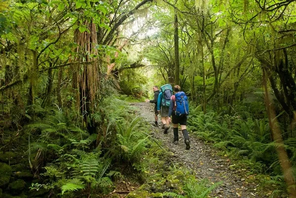 The Milford Track - a bush trek over several days with some of the world's most amazing scenery.