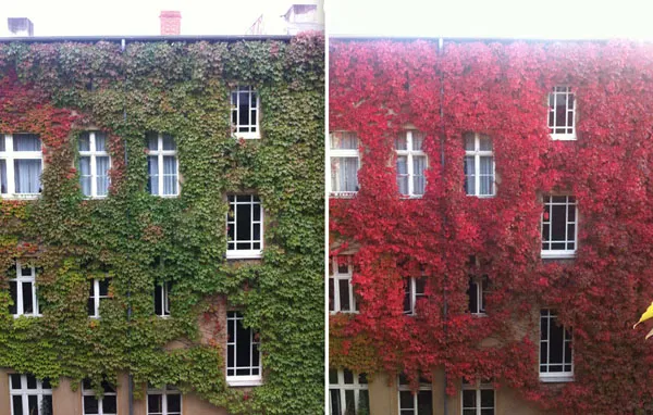 same-place-different-season-before-after-4
