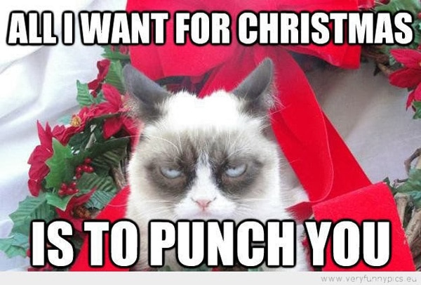 Christmas-Grumpy-Cat-091