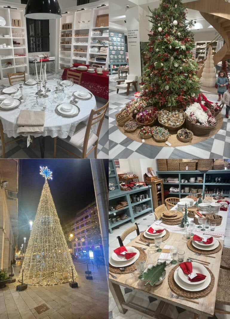 Palma jul