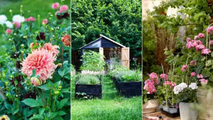 Så får ni en hållbar trädgård - 6 tips