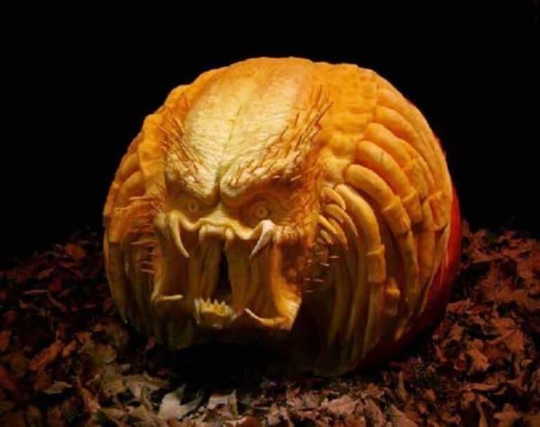 Alien pumpa karva