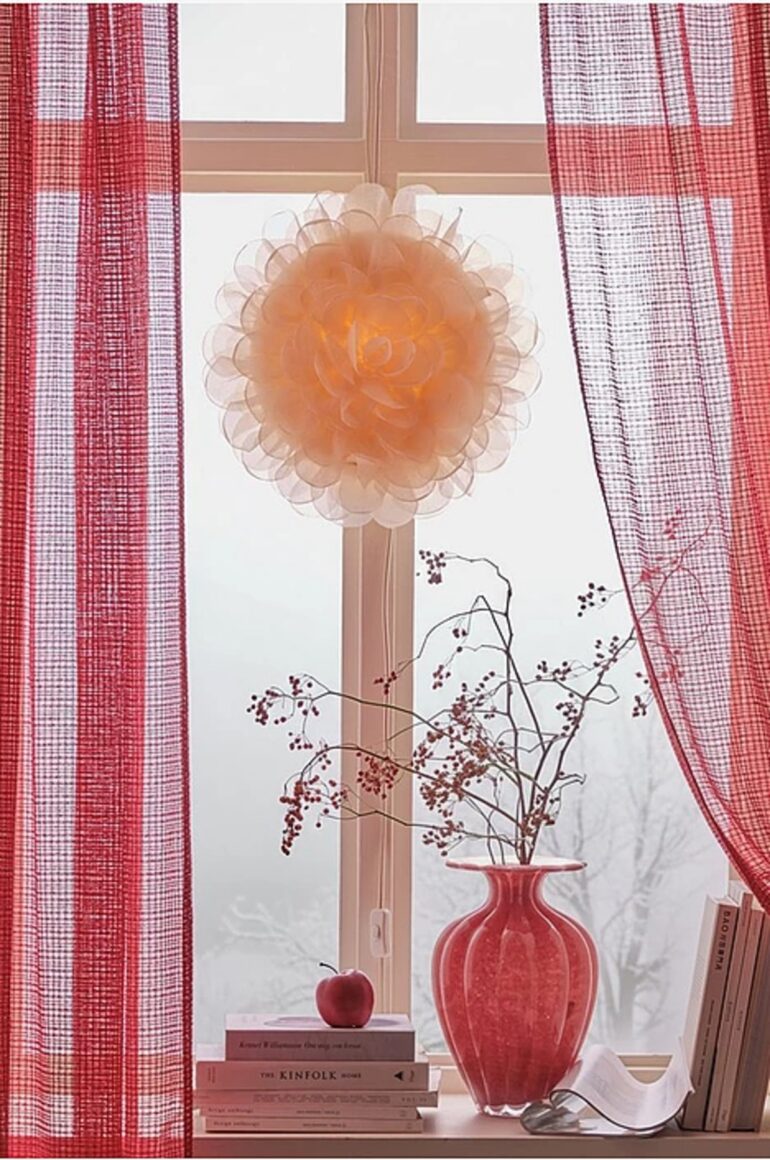 Adventsstjärna dahlia