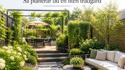 Hur planerar man en liten trädgård? 10 bästa tips