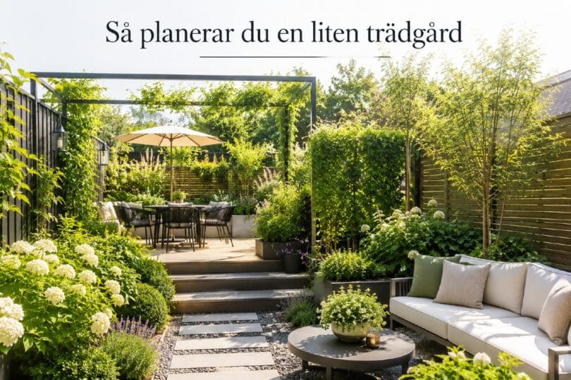 planera liten trädgård tips