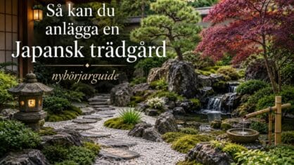 Hur anlägger man en japansk trädgård? Så här gör ni