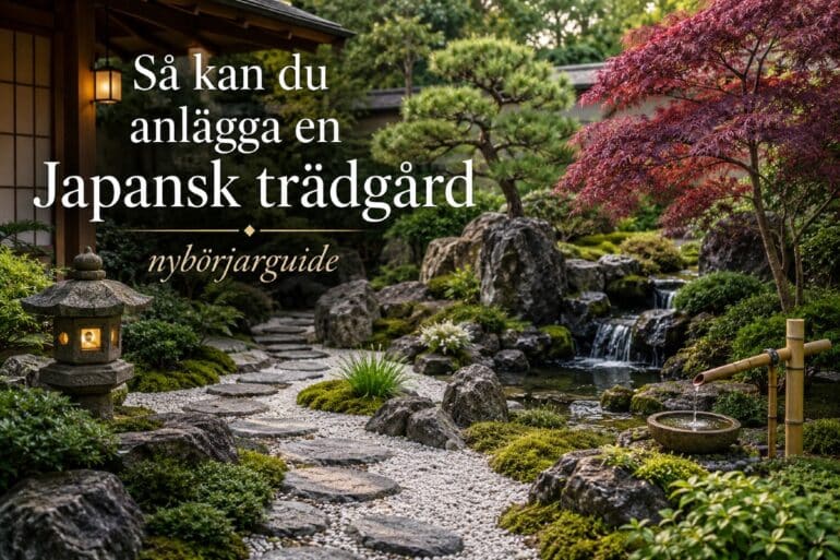 Hur anlägger man en japansk trädgård? Så här gör ni