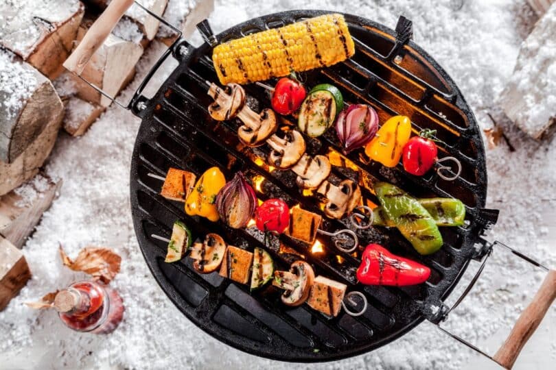 Bästa bärbara grillar