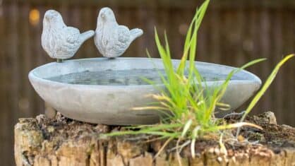 Fågelbad diy