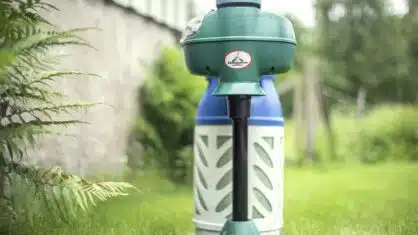 Myggfångare bäst i test