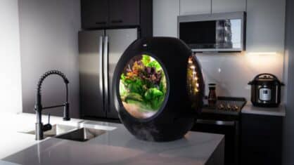 Odla smart inomhus