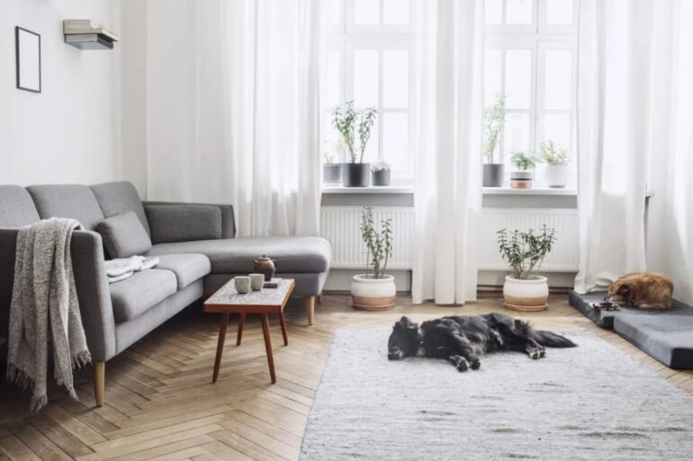 Grå soffa gardiner