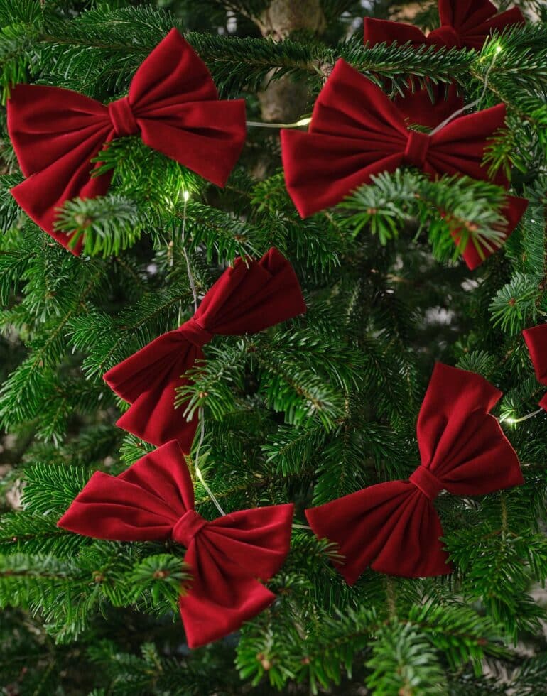 Ellos home ljusslinga rosetta