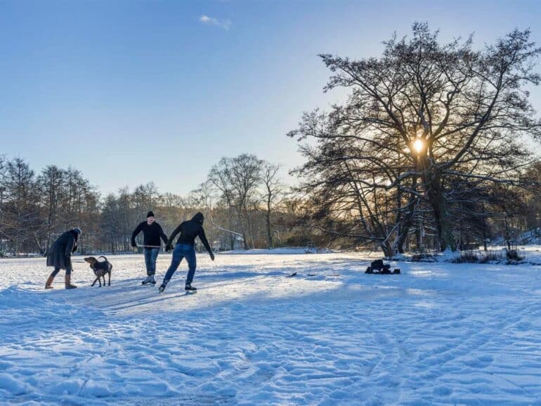 Slottskogen julafton