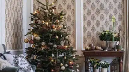 Var inte placera julgran