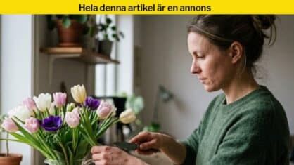 styla med snittblommor
