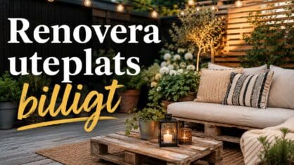 Hur kan man renovera uteplats billigt? 10 Experttips
