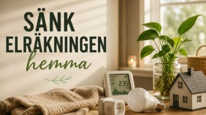 Hur sänker man elräkningen hemma? Experterna tipsar