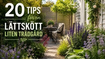 Hur får man en lättskött liten trädgård? 20 tips