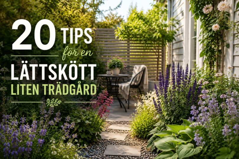lättskött liten trädgård tips