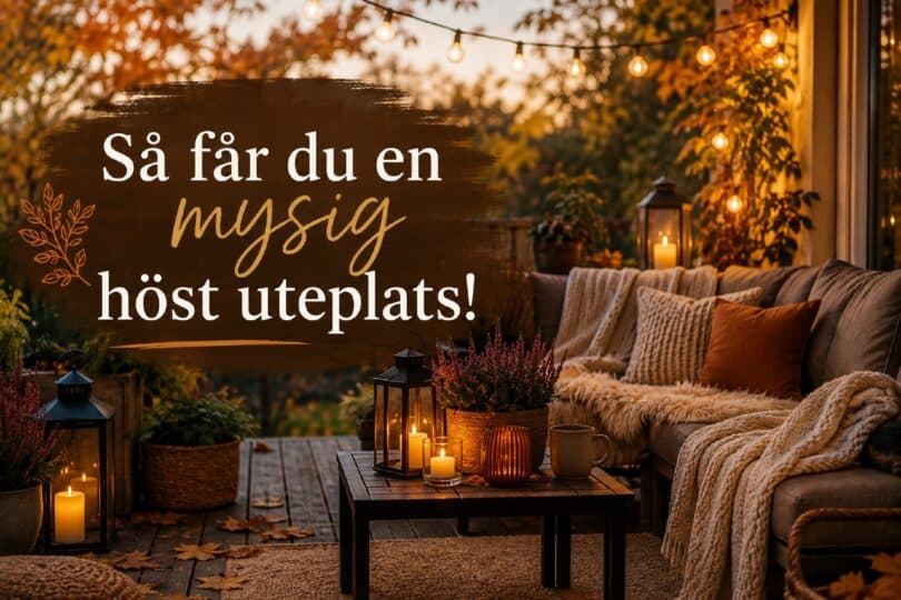 mysig höst uteplats